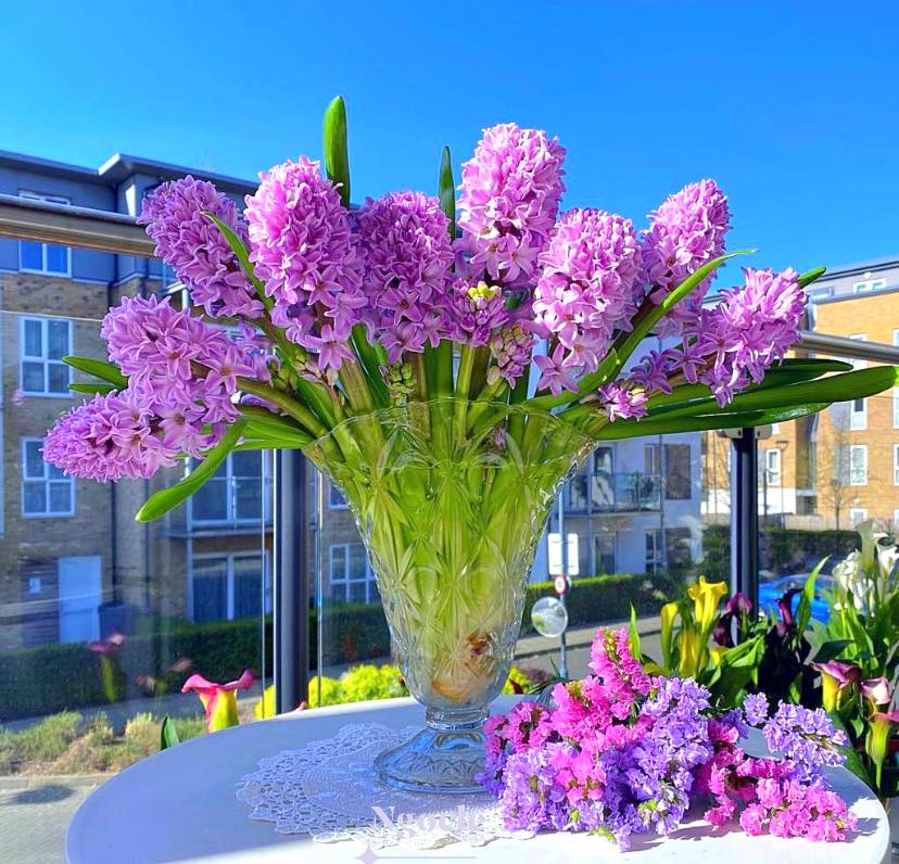 Tử vi ngày 11/10/2022 của 12 cung hoàng đạo